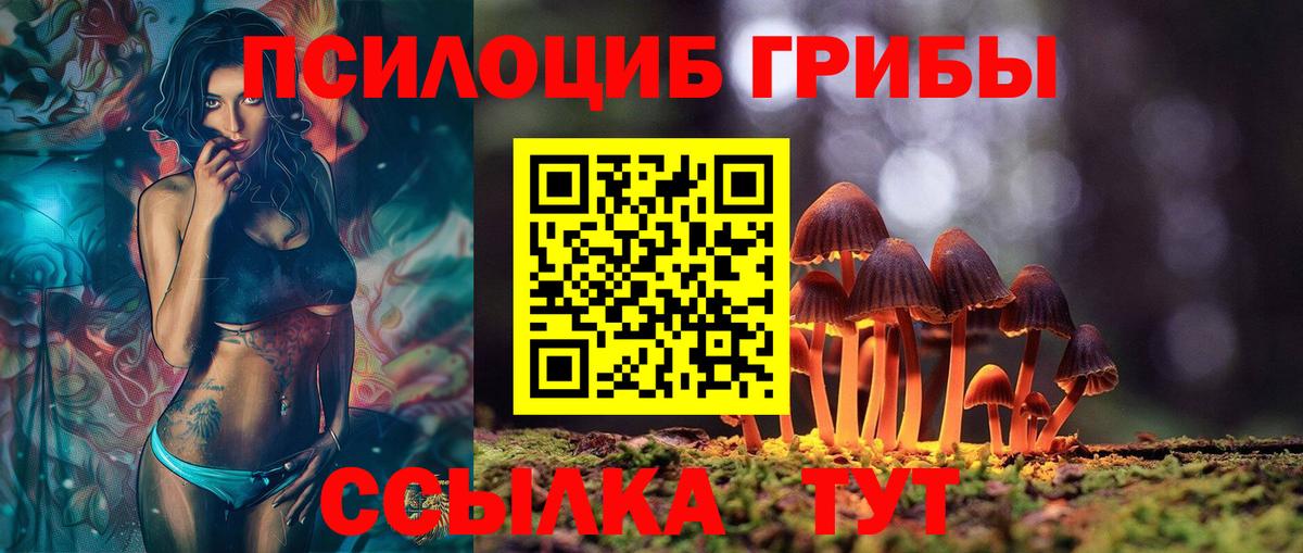 Каменск-Шахтинский  Псилоцибиновые грибы Psilocybine cubensis  Вход с VPN  Псилоцибиновые грибы мухоморы 
